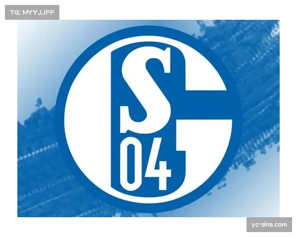独家专访:即将退役的沙尔克04老将讲述二十年忠诚守望 独家专访:即将退役的沙尔克04老将讲述二十年忠诚守望